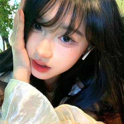 完美的独裁国家