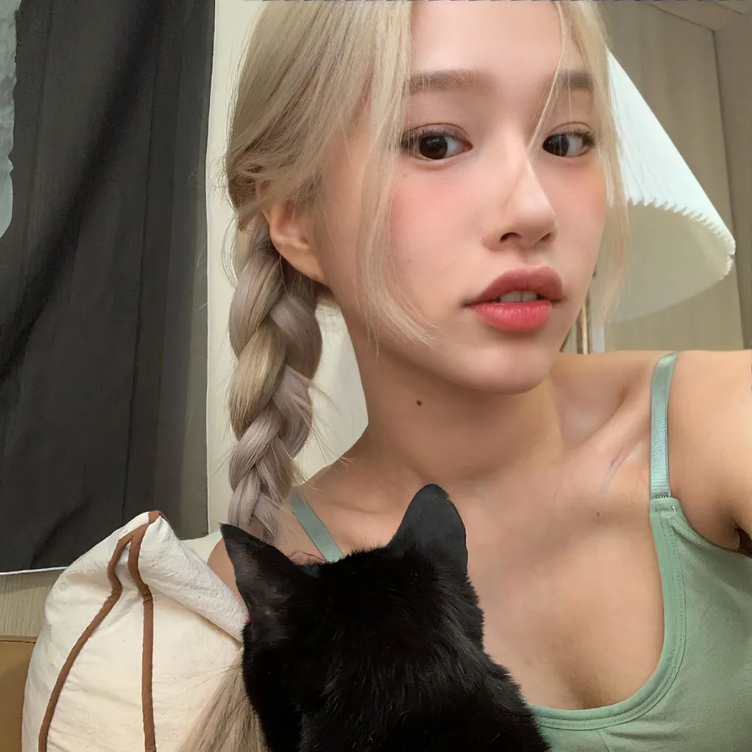 干支魂:猫客万来